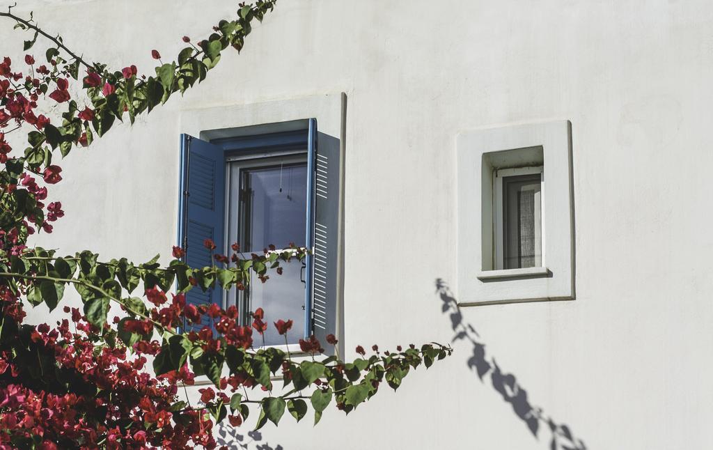 Andros Maisonettes